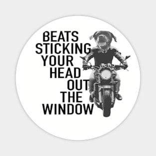 Beats sticking your head out the window! Magnet